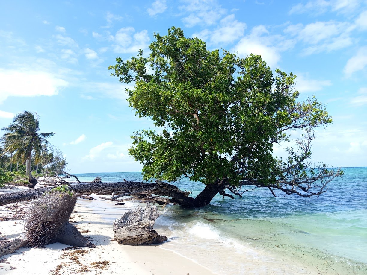 What Makes a Beach Perfect for Families