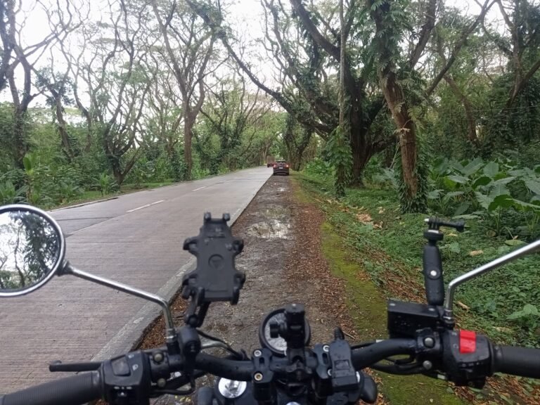 Motorbike rental gear included in Puerto Princesa