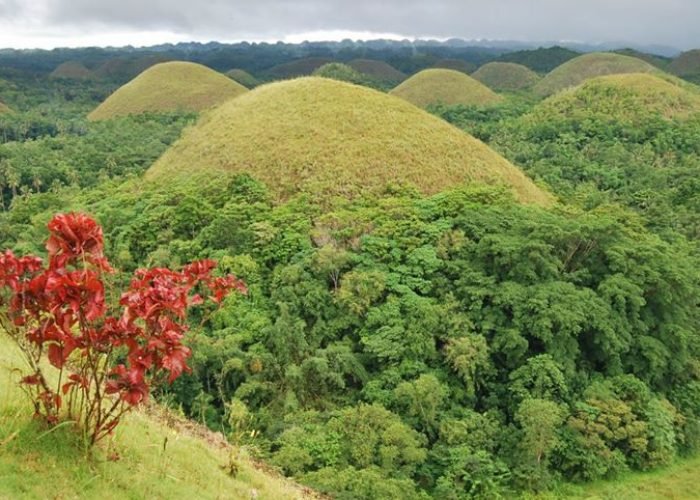 Bohol Honeymoon Guide