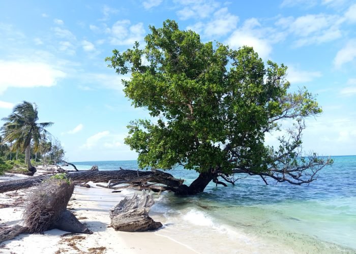 What Makes a Beach Perfect for Families