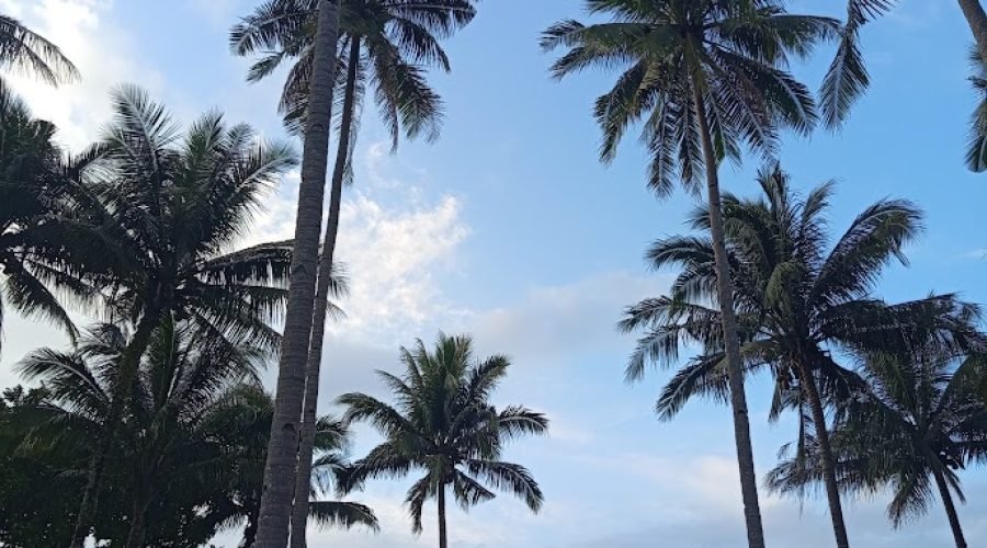 What to Know Before Traveling the Philippines
